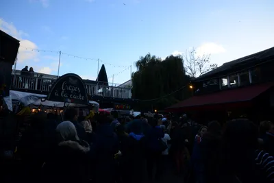 DSC_0437 (Large).JPG